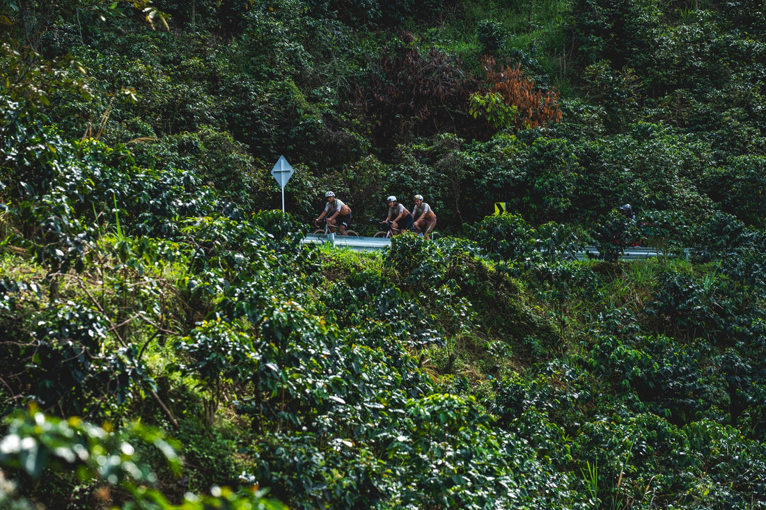 Bikepacking in Colombia— BERT shoe blog