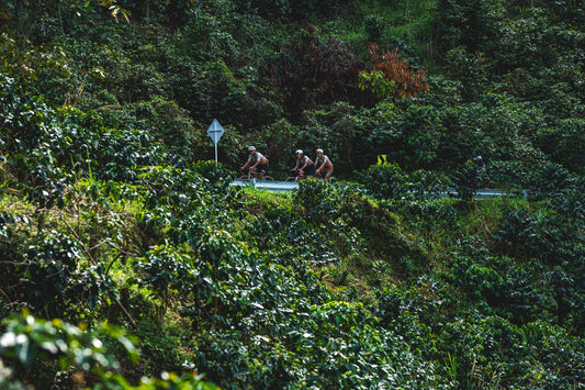 Bikepacking in Colombia— BERT shoe blog