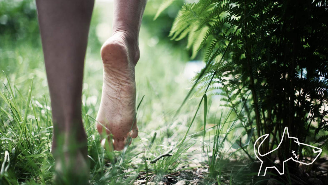 Foot health — BERT shoe blog