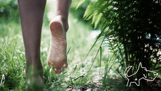 Foot health — BERT shoe blog