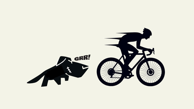 Dog chasing cyclist — BERT shoe blog