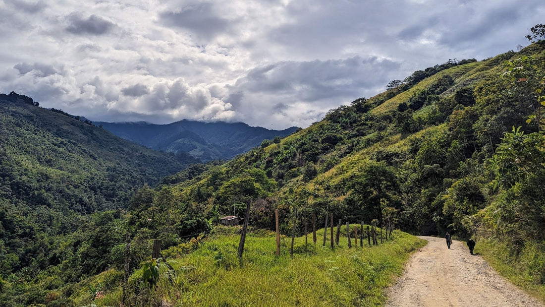Landscape of Colombia— BERT shoe blog