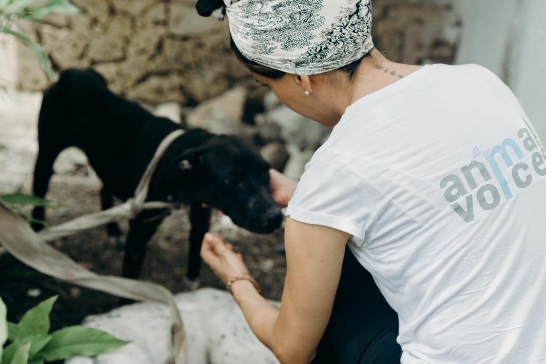 A Day for Animal Dignity: An Interview with Sabina De los Reyes, Founder of Animal Voices