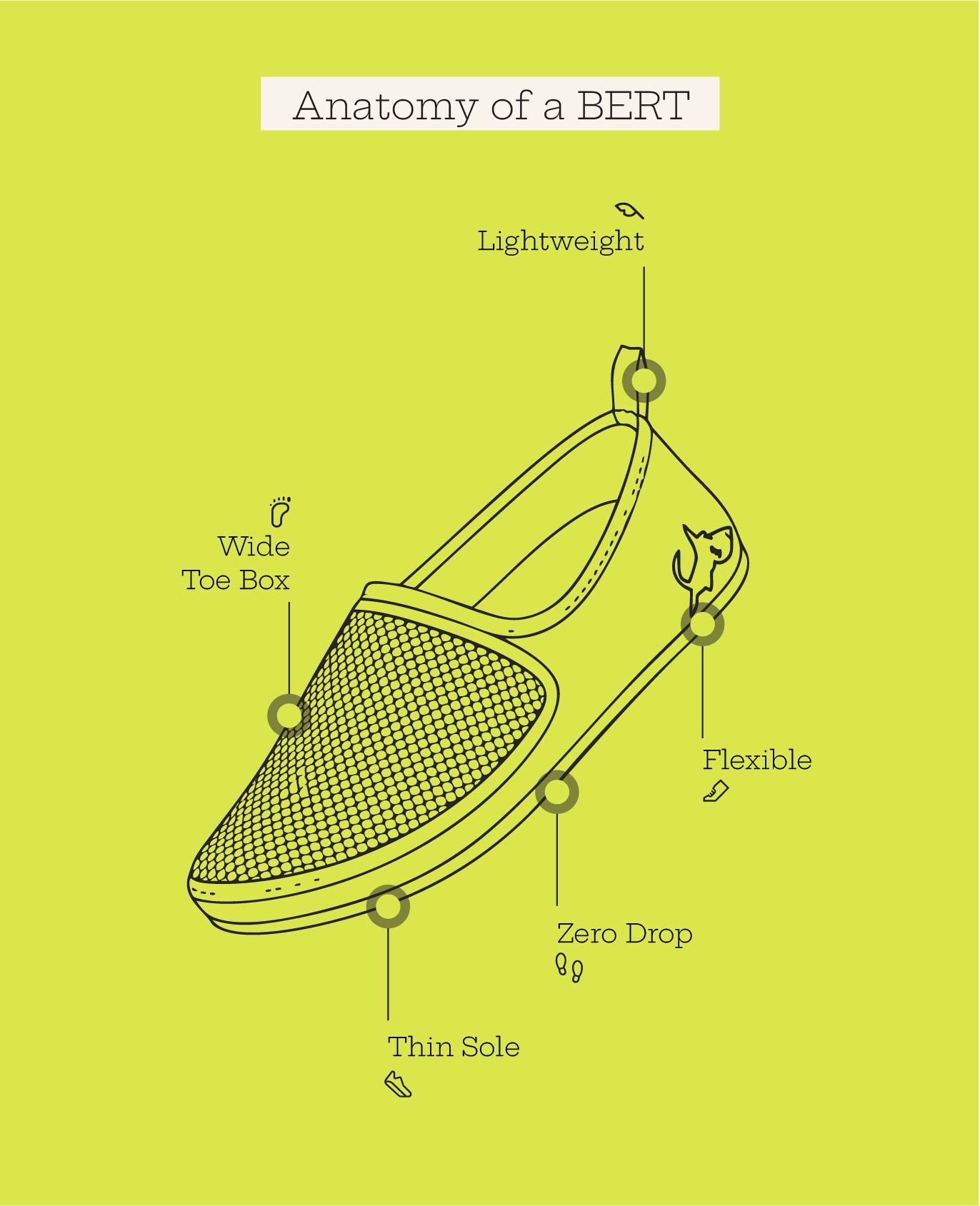Illustration of a slip-on shoe highlighting lightweight, flexible, zero-drop, wide toe box, and thin sole features.